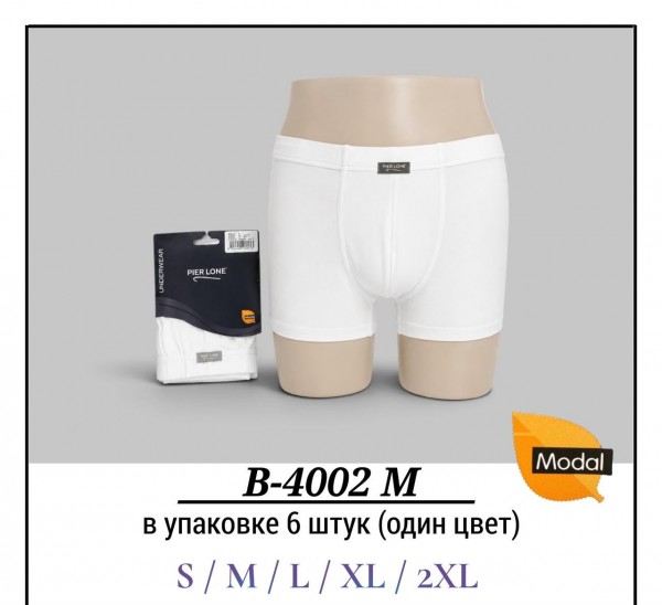 Трусы Мужские Modal Pier Lone (S/M/L/XL/2XL)