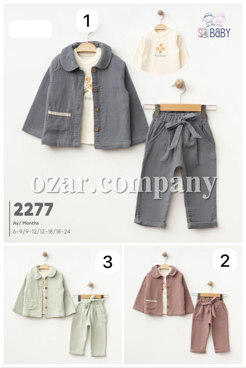 Костюм Тройка Для Девочки SD Baby (6-9/9-12/12-18/18-24мес.)