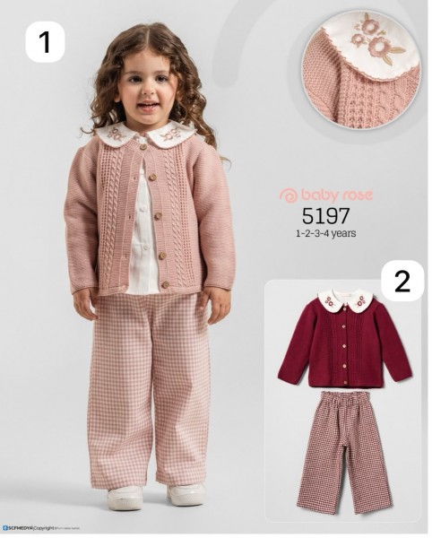 Костюм Тройка Для Девочки Baby Rose (1-2-3-4лет) 