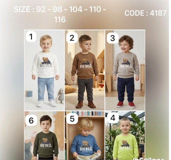 Свитшот Для Мальчика Bayfigo (2-3-4-5-6лет) 