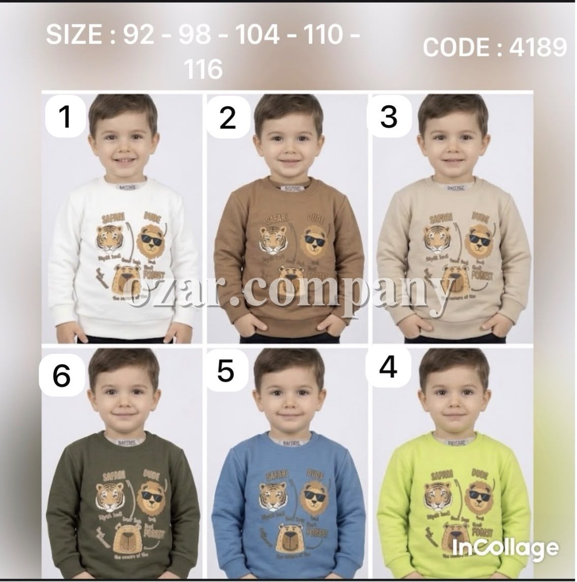 Свитшот Для Мальчика Bayfigo (2-3-4-5-6лет) 