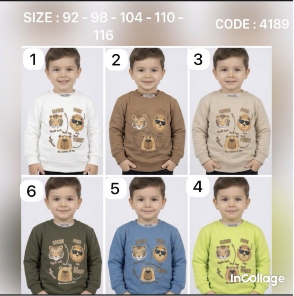 Свитшот Для Мальчика Bayfigo (2-3-4-5-6лет) 