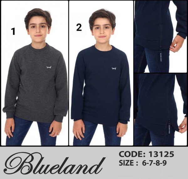 Свитшот Для Мальчика Blueland (6-7-8-9лет)