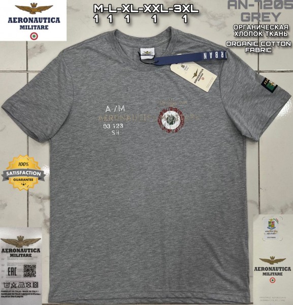 Мужская Футболка Aeronautica Militare
