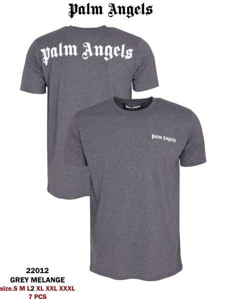 Мужская Футболка Palm Angels