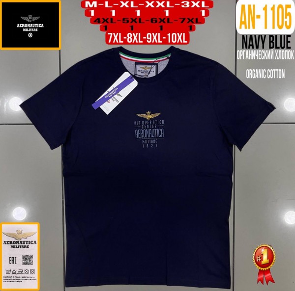 Мужская Футболка Aeronautica Militare