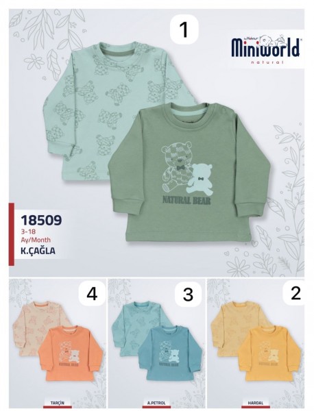 Свитшот Для Мальчика Miniworld (3-6/6-9/9-12/12-18мес. по 2шт.)