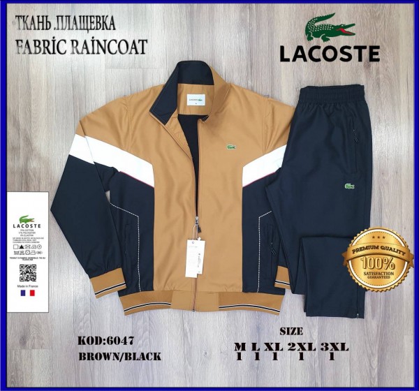 Мужской Спортивный Костюм Lacoste