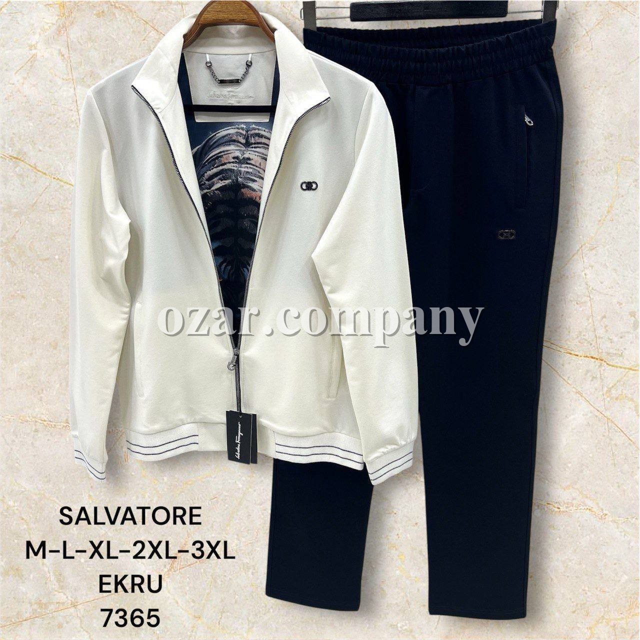 Мужской Спортивный Костюм Salvatore Ferragamo