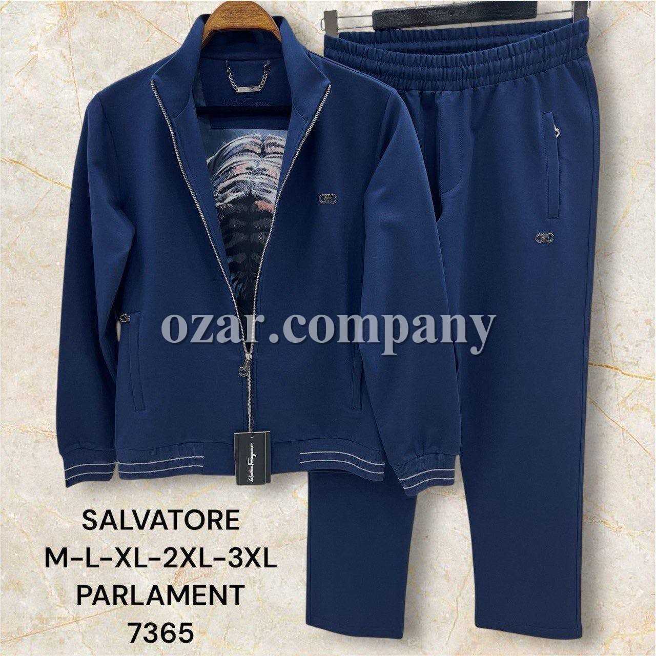 Мужской Спортивный Костюм Salvatore Ferragamo