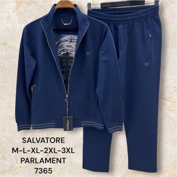 Мужской Спортивный Костюм Salvatore Ferragamo
