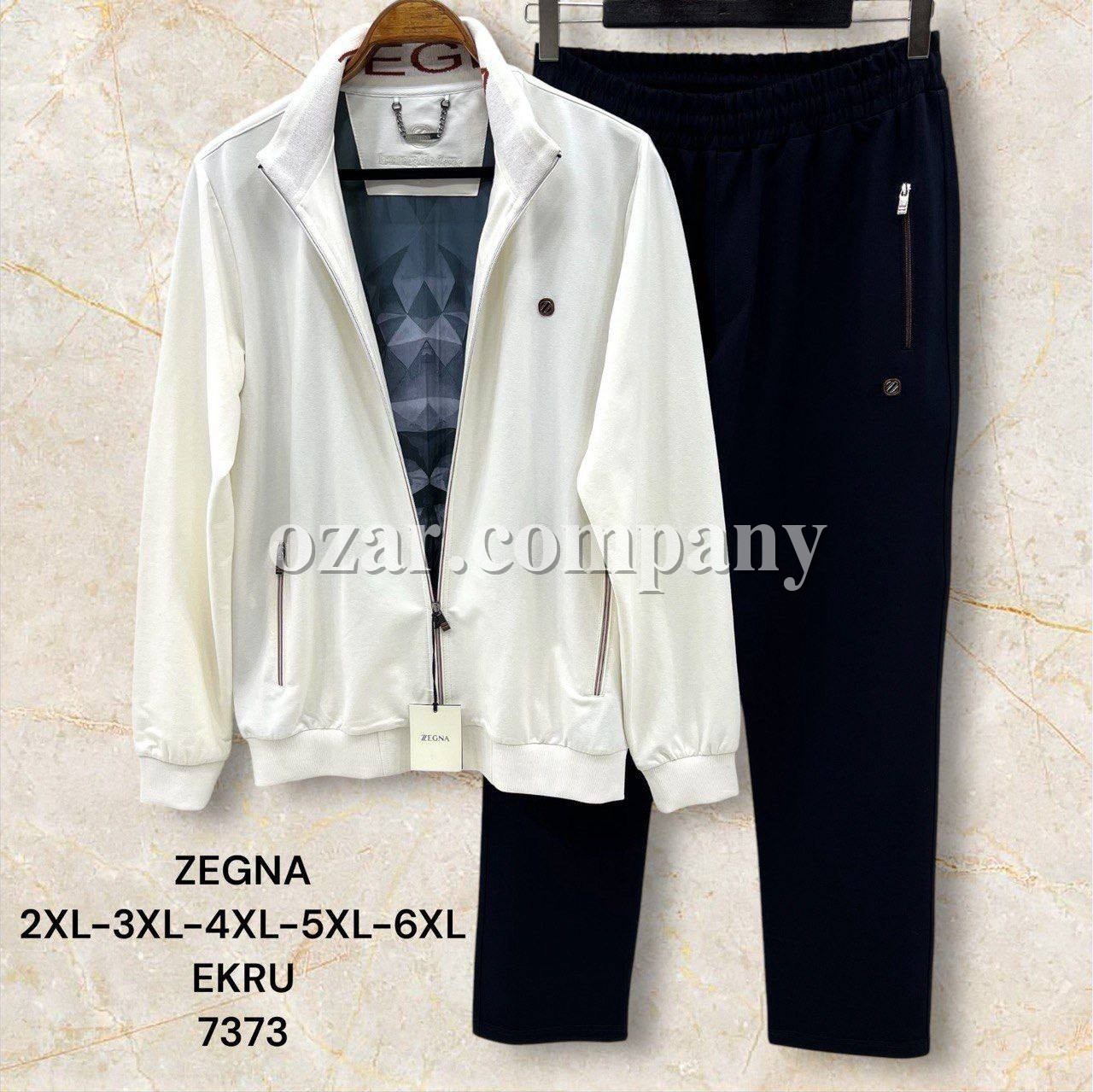 Мужской Спортивный Костюм Zegna (Большие размеры)