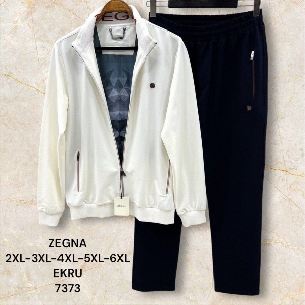 Мужской Спортивный Костюм Zegna (Большие размеры)