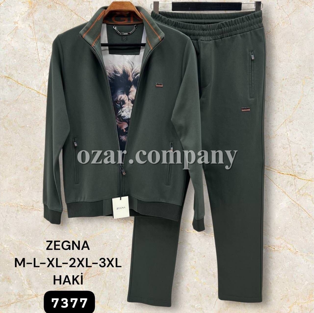 Мужской Спортивный Костюм Zegna