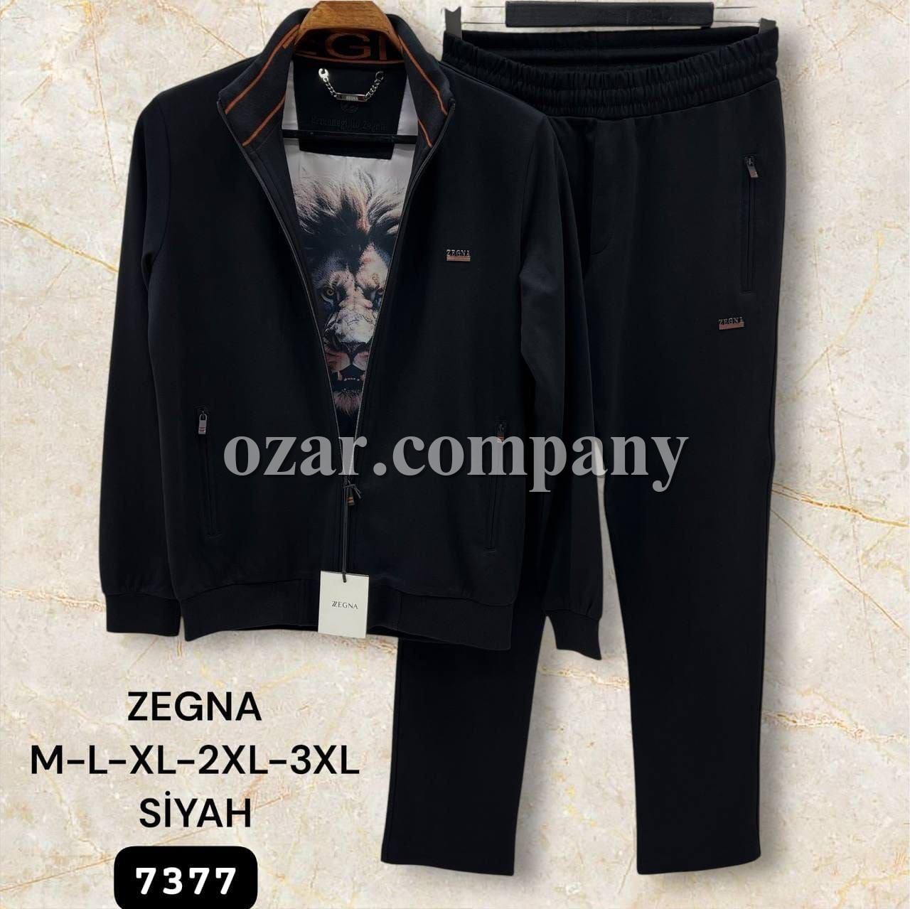 Мужской Спортивный Костюм Zegna