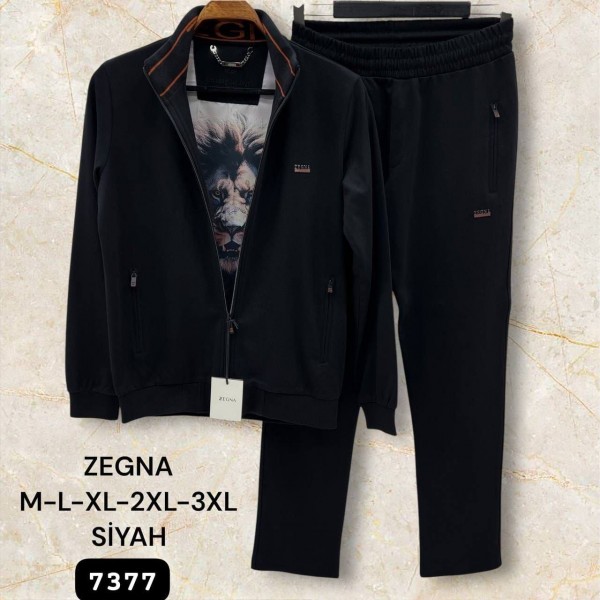 Мужской Спортивный Костюм Zegna