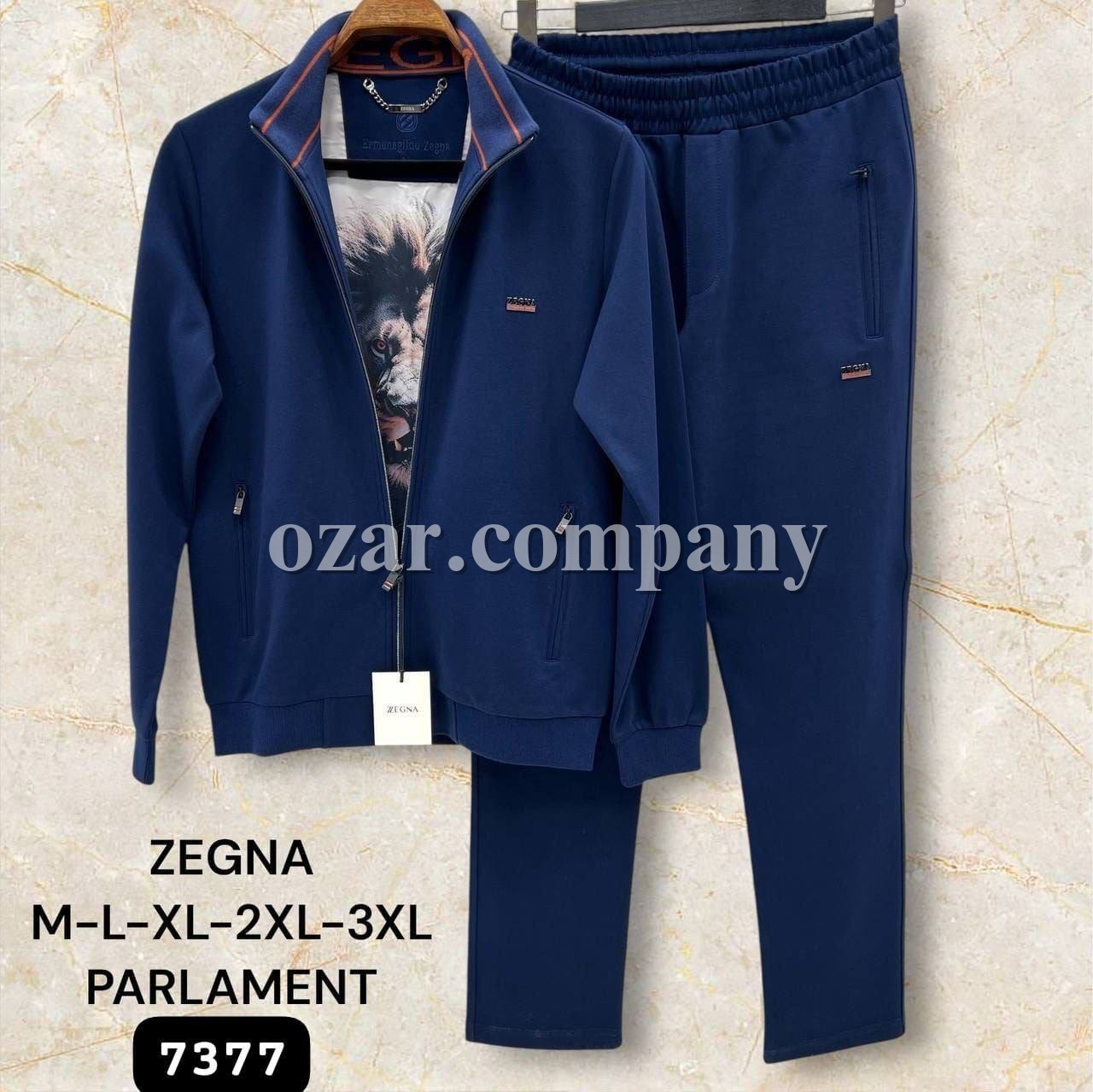 Мужской Спортивный Костюм Zegna