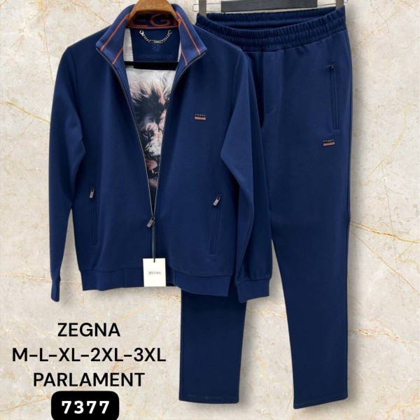 Мужской Спортивный Костюм Zegna