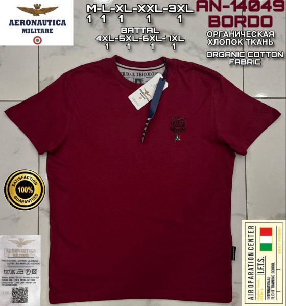 Мужская Футболка Aeronautica Militare