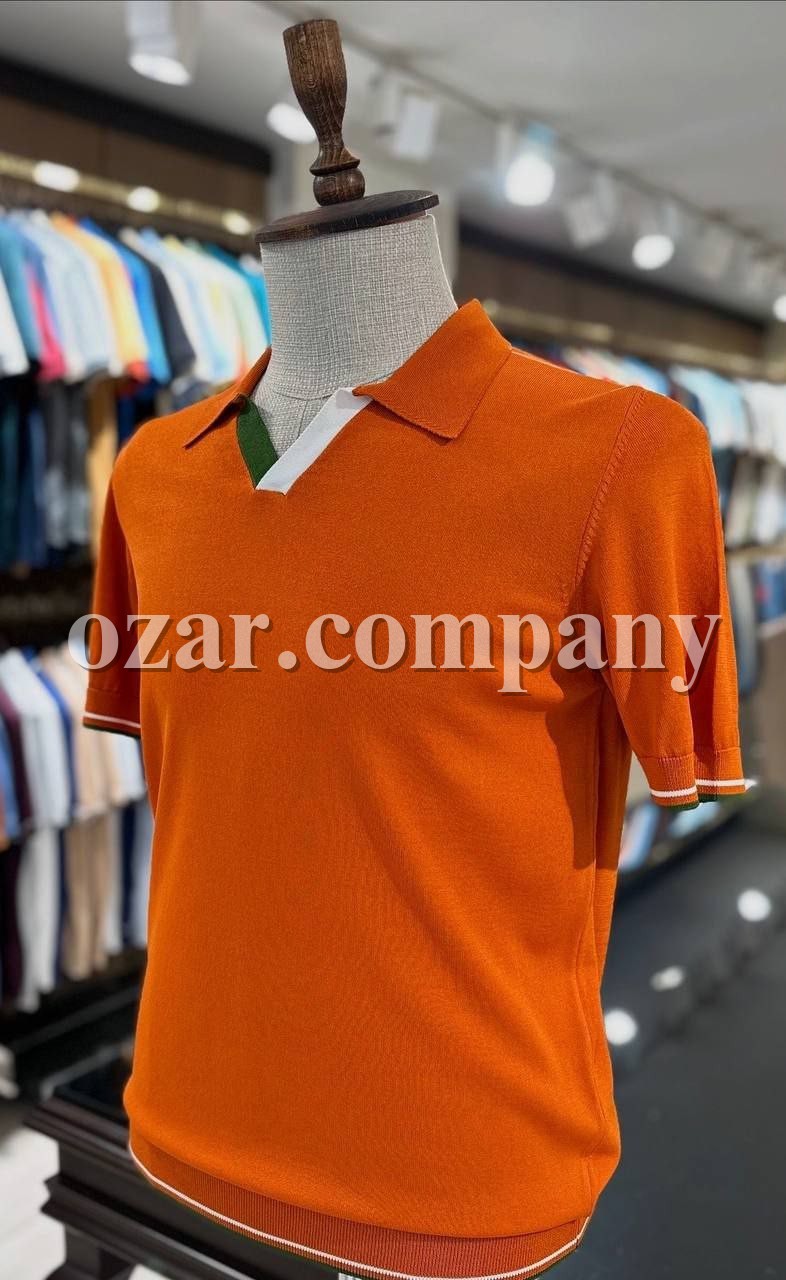 Мужская Футболка Zegna