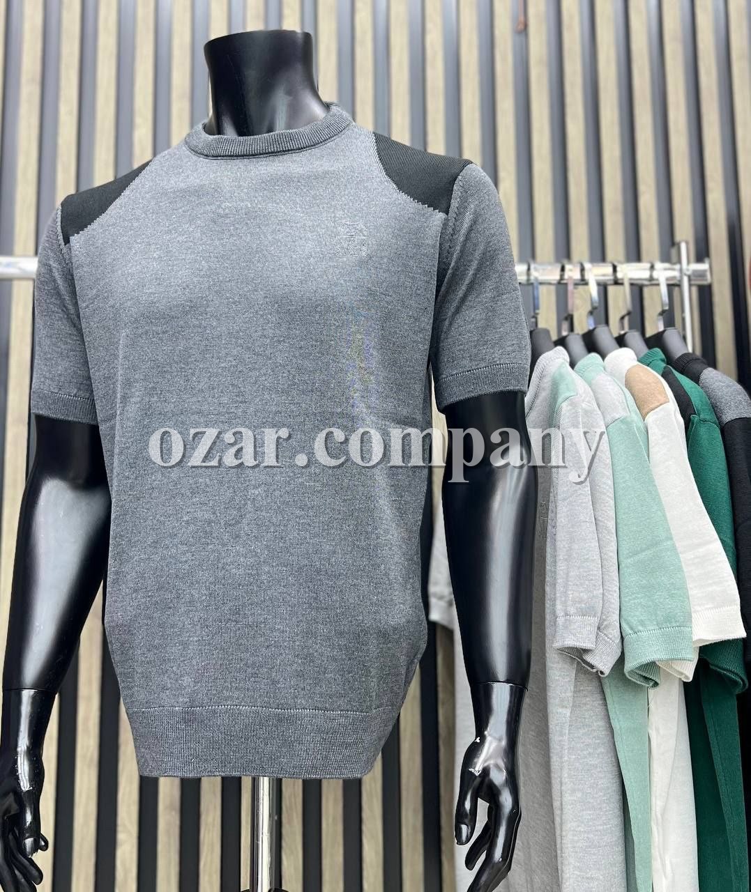 Мужская Футболка Loro Piana