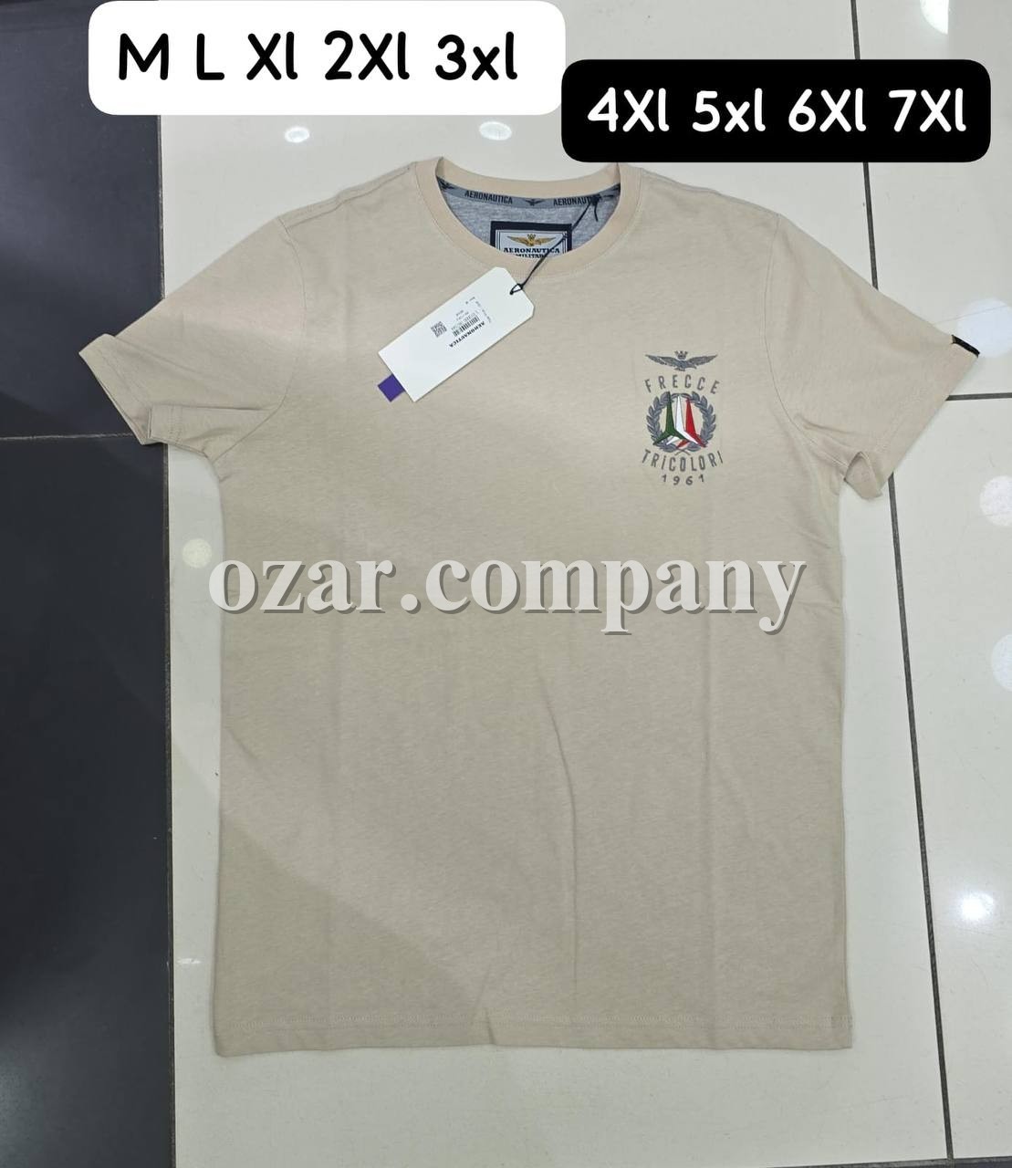 Мужская Футболка Aeronautica Militare