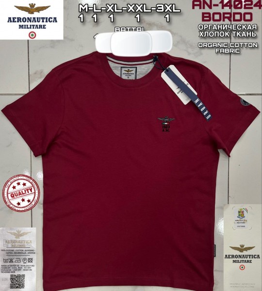 Мужская Футболка Aeronautica