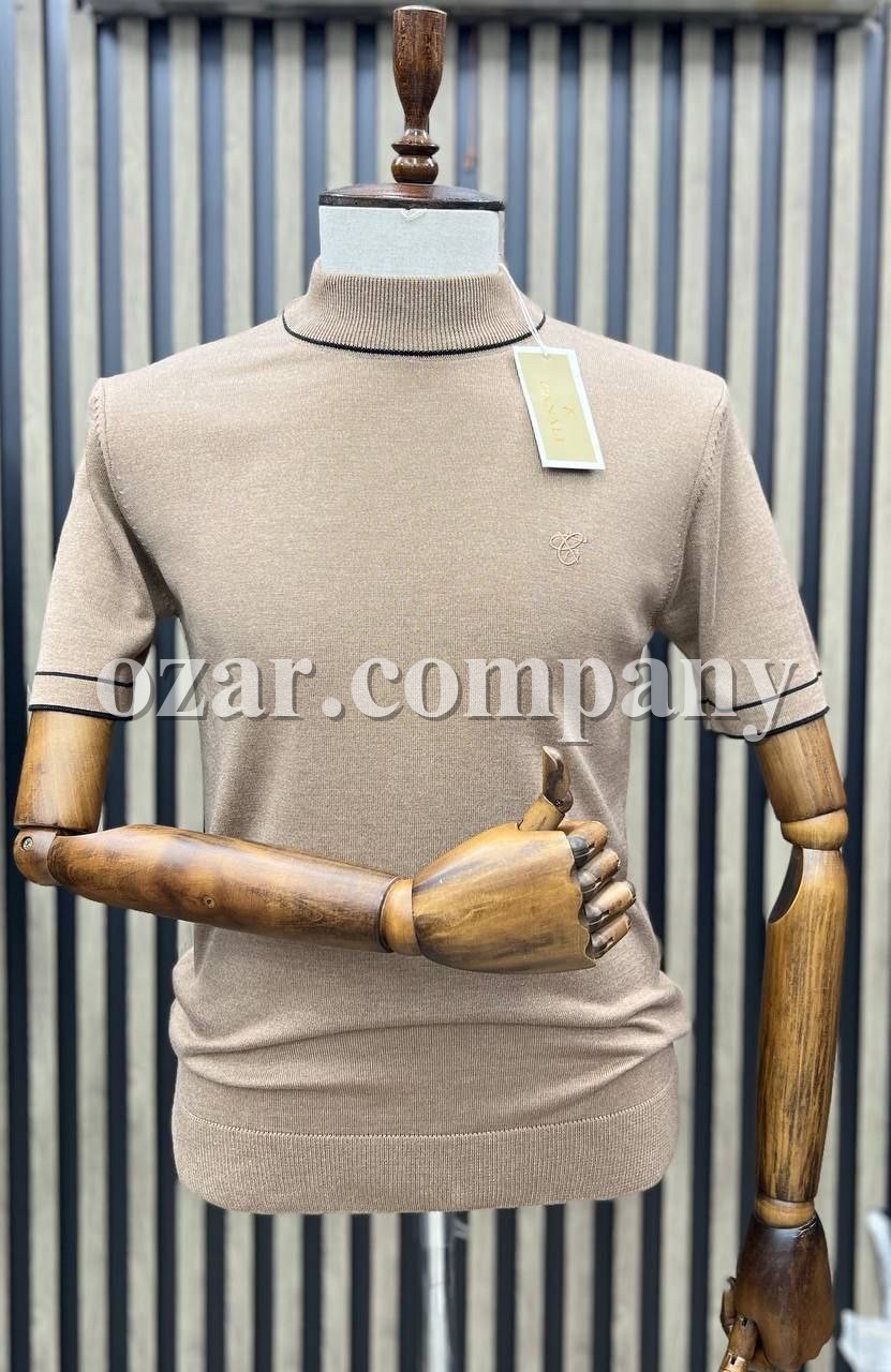 Мужская Трикотажная Футболка Canali