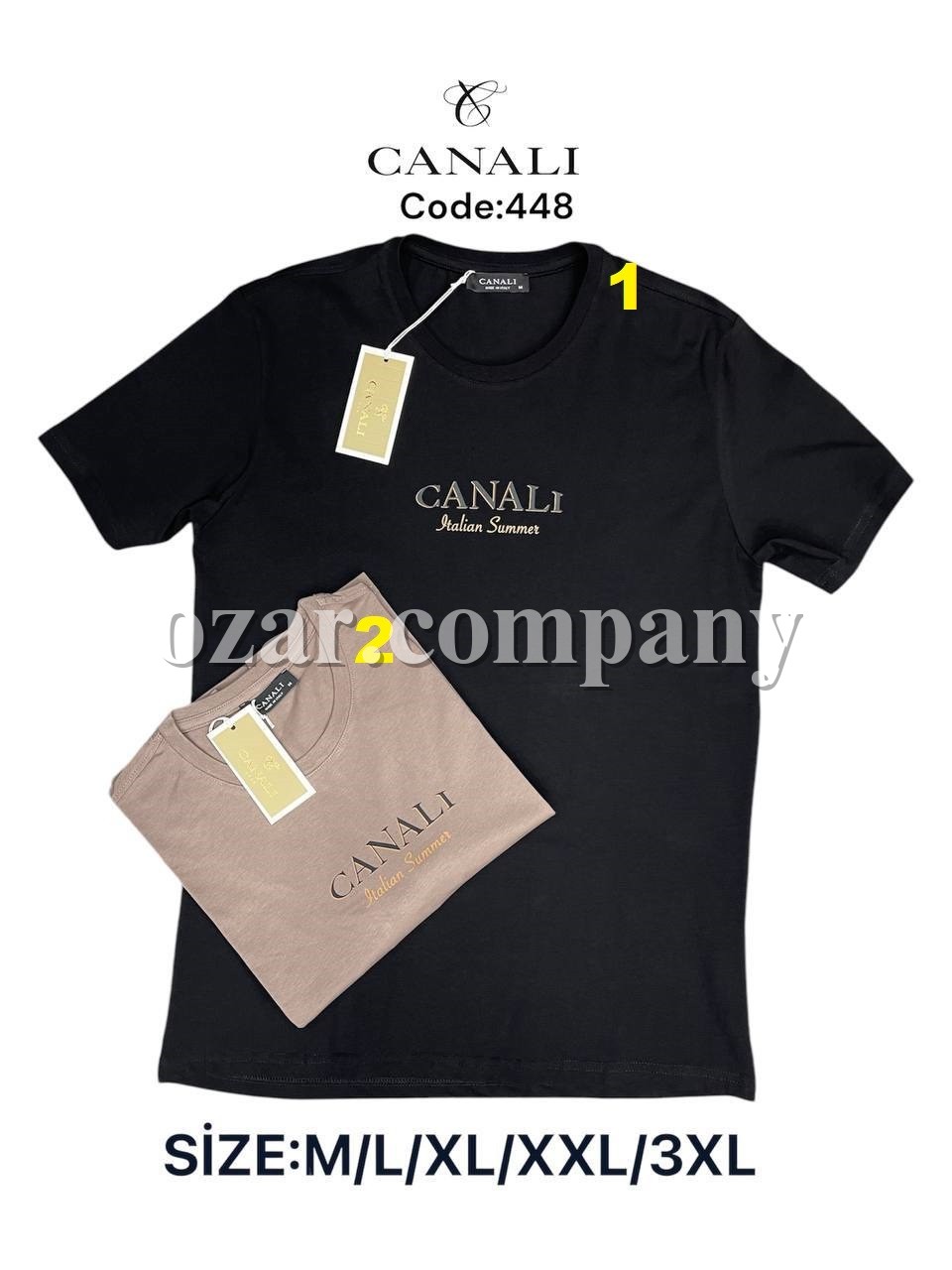 Мужская Футболка Canali