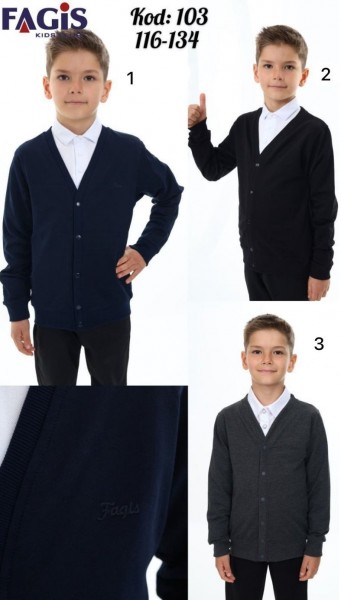 Школьный Кардиган Для Мальчика Fagis (6-7-8-9лет) 