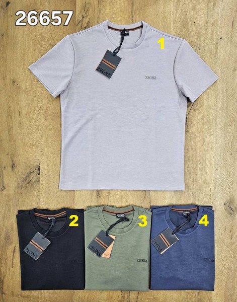 Мужская Футболка Zegna