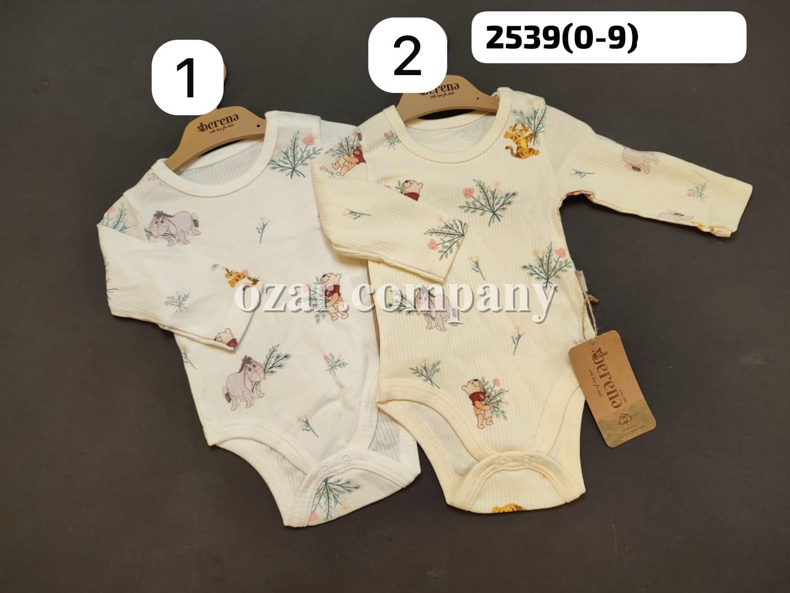 Бодик Для Девочки Berena (0-3-6-9мес.)