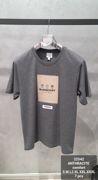 Мужская Футболка Burberry
