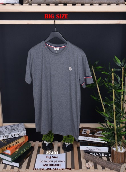 Мужская Футболка Moncler (Большие размеры)