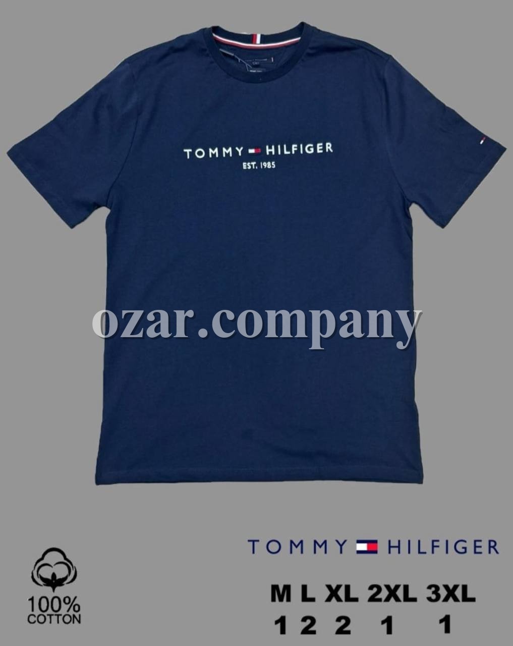 Мужская Футболка Tommy Hilfiger