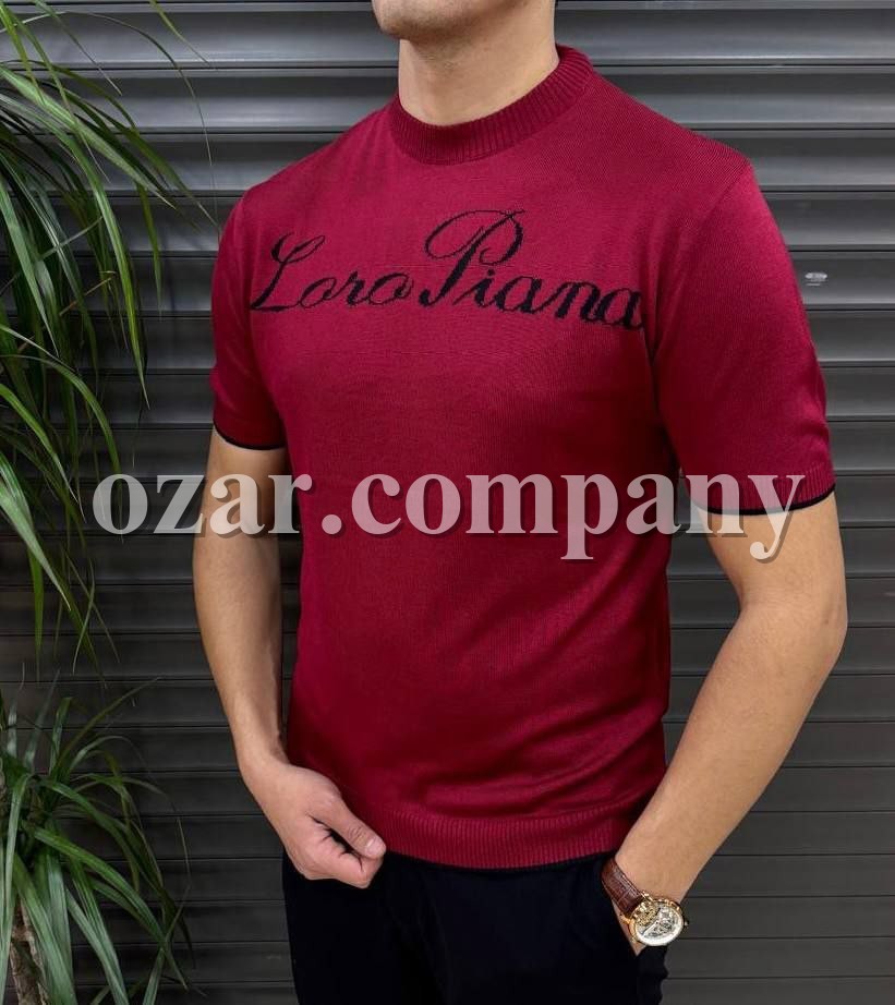 Мужская Футболка Loro Piana (Большие размеры)