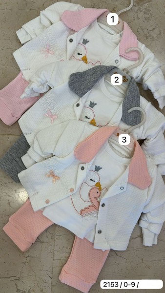 Костюм Тройка Для Девочки Baby Im (0-3-6-9мес.)