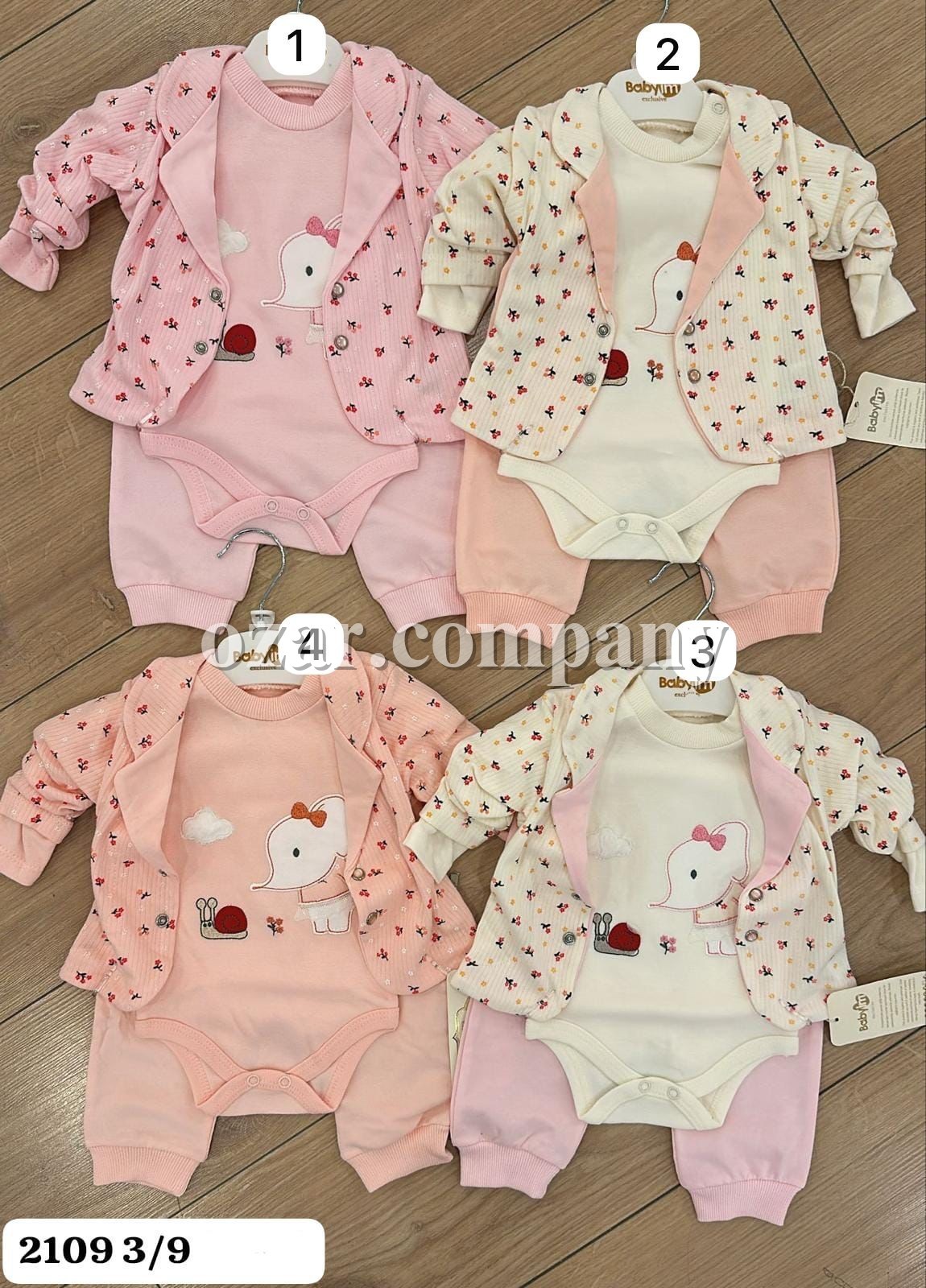 Комплект Для Девочки Baby Im (3-6/6-9мес.)