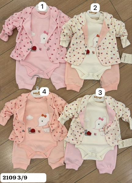 Комплект Для Девочки Baby Im (3-6/6-9мес.)
