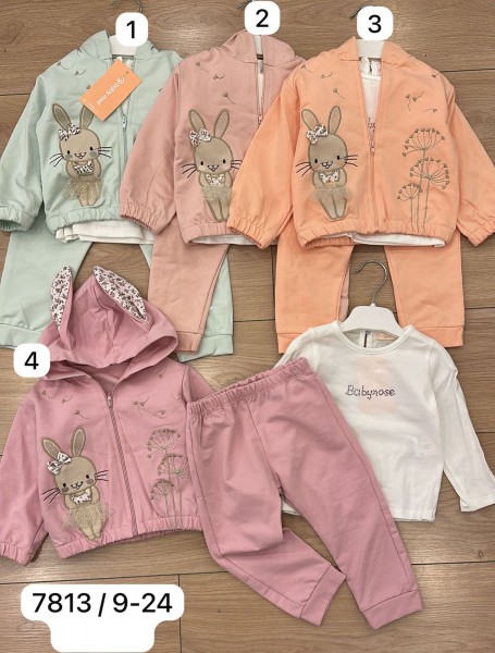 Костюм Тройка Для Девочки Baby Rose (9-12-18-24мес.)
