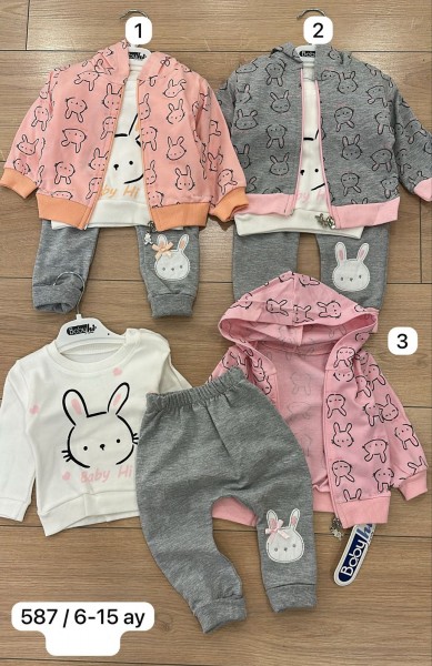 Костюм Тройка Для Девочки Babyhi (6-9-12-18мес.)