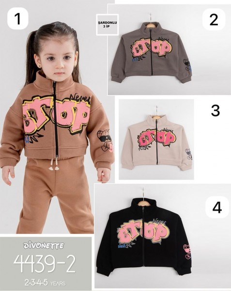 Кофта Тринитка На Флисе Для Девочки Divonette (2-3-4-5лет)