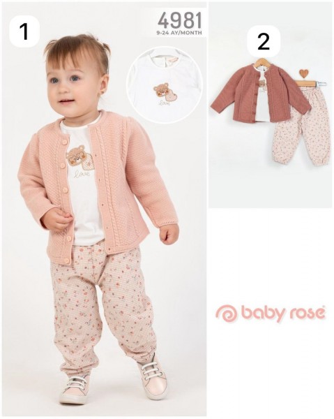 Костюм Тройка Для Девочки Baby Rose (9-12-18-24мес.)
