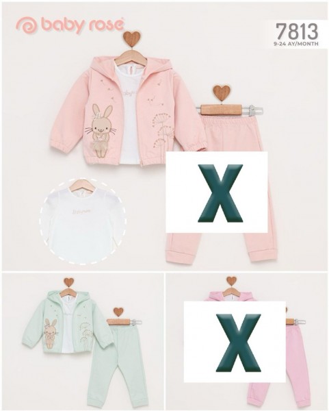 Костюм Тройка Для Девочки Baby Rose (9-12-18-24мес.)