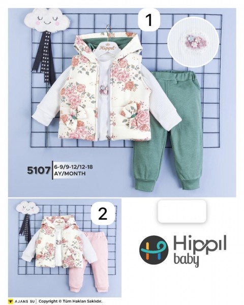 Костюм Тройка Для Девочки Hippil (6-9/9-12/12-18мес.)