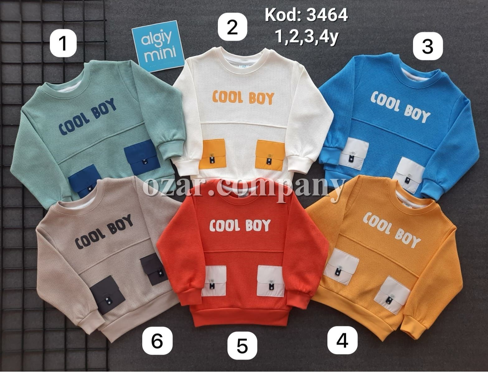 Свитшот Для Мальчика Algiy Mini (1-2-3-4лет) 