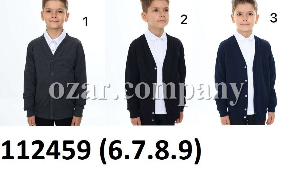 Школьный Кардиган Для Мальчика Fagis (6-7-8-9лет) 