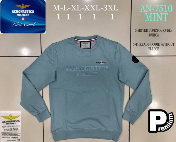 Мужская Толстовка Aeronautica Militare 