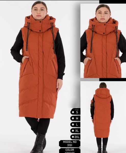 Женская Жилетка New Color