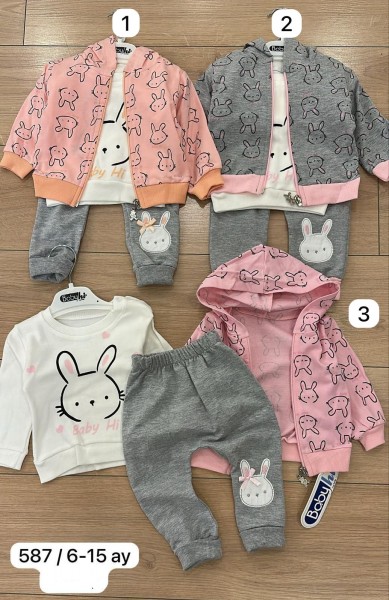Костюм Тройка Для Девочки Babyhi (6-9-12-18мес.)
